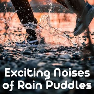 Exciting Noises of Rain Puddles - Rain Sounds Nature Collection