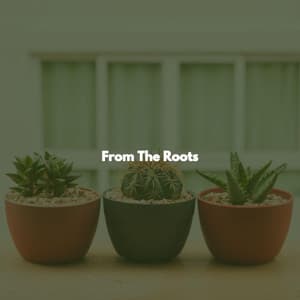From The Roots - Background Jazz for Studying