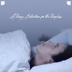 Go to Sleep Well Before the Party Weekend Begin. A Sleepy Collection for the Sleepless - Soft Sleeping Melodies