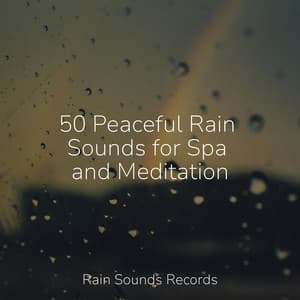 50 Peaceful Rain Sounds for Spa and Meditation - Reiki Music