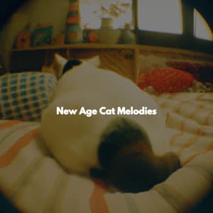 New Age Cat Melodies - Soft Alternative Lounge Jazz