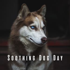 Soothing Dog Day: Tranquil Chill Music - Ambient Music Bliss