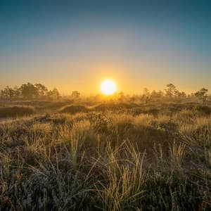 365 Sleep Stories: Night Unleashed - Calm Music