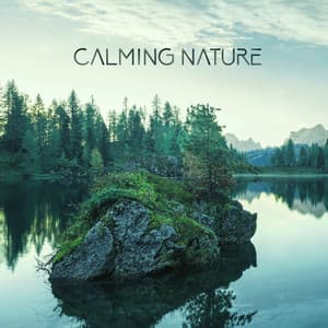 Calming Nature: Serenity Spa, Relaxation, Meditation, Yoga, Massage - Instrumental