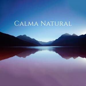 Calma Natural: Música de Meditação para Ansiedade, Afirmações Diárias, Sons da Natureza para Relaxamento e Cura da Paz - Relaxar Meditação Clube