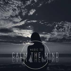 Music to Calm the Mind: Soothing Meditation for Well-Being, Relaxing Your Mind and Body - Exotic New Age Master