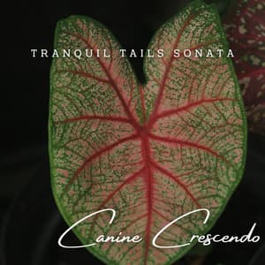 Canine Crescendo: Meditative Piano for Furry Companions - Piano: Classical Relaxation