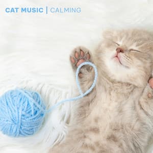 Cat Music - Calming Songs for Cats and Kittens - Cat Music