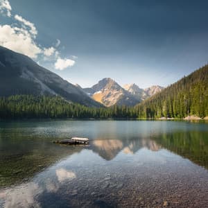 Armonía Suave: Música Para La Relajación - Bloqueo de fase