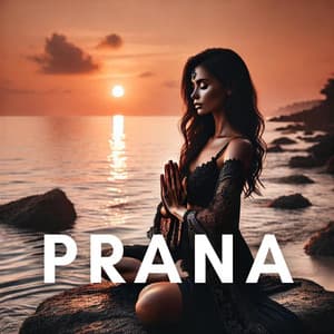 The Path of Prana: Flowing Meditation, Deeper Resonance with Spiritual Energy - Pranessa