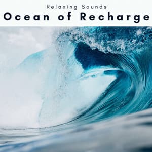 1 Ocean of Recharge - Sleep Tech