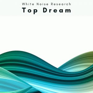1 Top Dream - White Noise Research