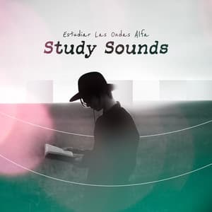 Study Sounds - Estudiar Las Ondas Alfa
