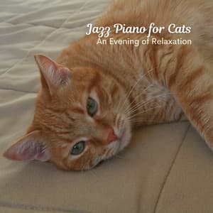 Jazz Piano for Cats: An Evening of Relaxation - Piano and Thunderstorm