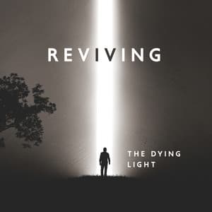 Reviving The Dying Light - Enlightened State