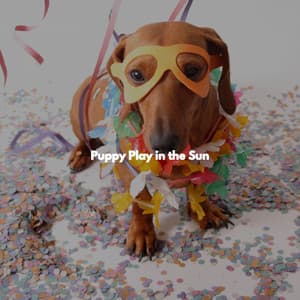 Puppy Play in the Sun - Abendessen Jazz Klassiker