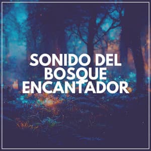 Sonido del Bosque Encantador - Sonidos de la Naturaleza para Dormir