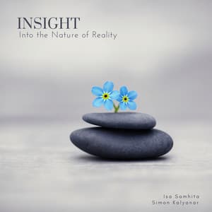 Insight into the Nature of Reality - Isa Samhita