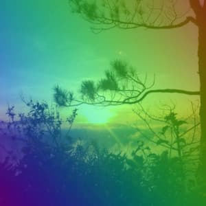 Music for Study Shapes - Música Ambiental para Cafés