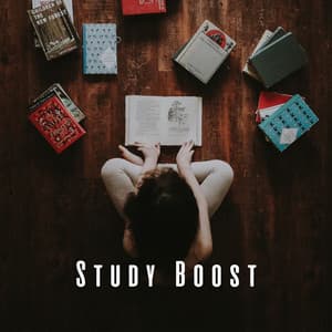 Study Boost: Melodic Inspiration with Music - Miracle of Silence