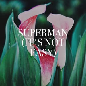 Superman - Pop Ballads