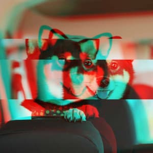 Music for Classic Hounds - Chill My Pooch