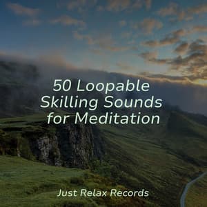 50 Loopable Skilling Sounds for Meditation - Sonido Del Bosque y Naturaleza