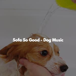 Sofa So Good - Dog Music - Caffè Vintage