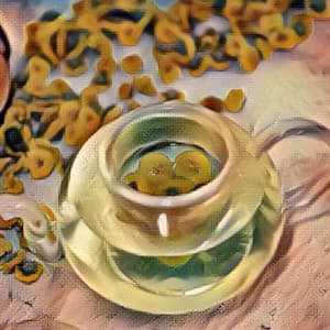 Music for Courageous Journey - Festive Bossa Guitar Trio - Jazz Instrumental Songs Cafe