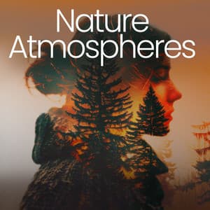 Nature Atmospheres - Nature Atmospheres