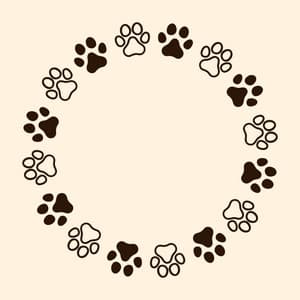 Piano for Cats: Whisker Melodies - Piano Tazzy