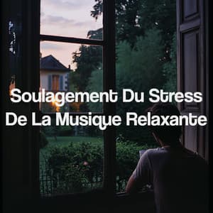 Soulagement Du Stress De La Musique Relaxante - Yoga Music