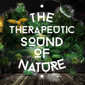 The Therapeutic Sound of Nature - The Healing Sounds of Nature