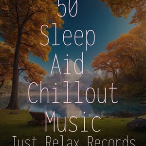 50 Sleep Aid Chillout Music - Meditación Guiada