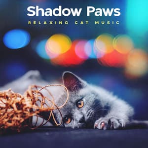 Shadow Paws - Relaxing Cat Music