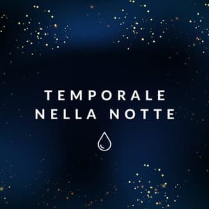 Temporale nella notte - Suoni Naturali
