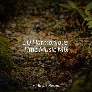 50 Harmonious Time Music Mix - Exam Study Classical Music