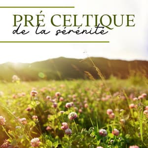Pré celtique de la sérénité : Musique celtique relaxante pour l'anti-stress - Les Principales Sons de Relaxation