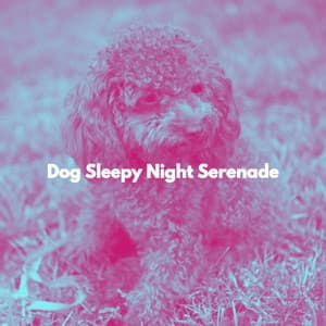 Dog Sleepy Night Serenade - Sunday Morning Music Classics