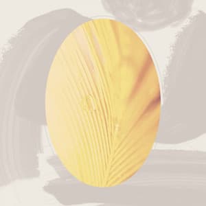 Fiery Ambiance for Soft Mornings - Morning Chill Playlist