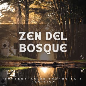 Zen del Bosque: Concentración Tranquila y Pacífica - Camino del pino
