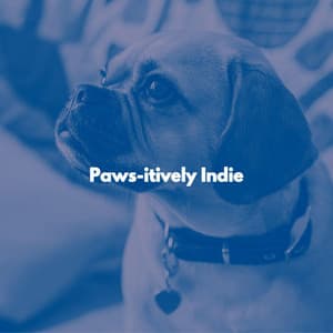 Paws-itively Indie - Chill Playlist