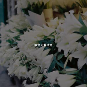 温室の静けさ - Música para la Cena