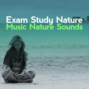 Exam Study Nature Music Nature Sounds - Exam Study Nature Music Nature Sounds
