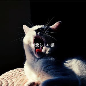 可愛らしい猫 - Tranquilo Trabajar desde Casa