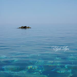 Liquid Soul - Elijah Ages