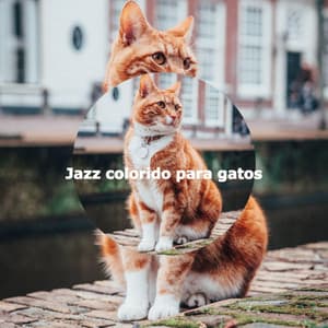 Jazz colorido para gatos - Detroit Jazz Group