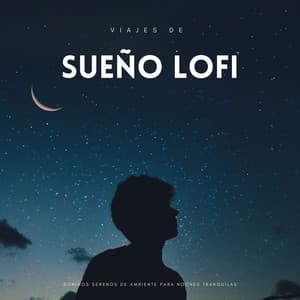 Viajes De Sueño Lofi: Sonidos Serenos De Ambiente Para Noches Tranquilas - Lofi Dormir