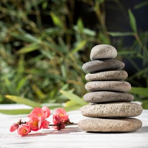 Serenity of Zazen: Japanese Zen Music for Inner Peace, Energy Healing, and Focus with Natural Soundscapes - Maya Theravada