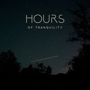 Hours of Tranquility: Melatonin Sleep, Meditative State for the Night, Deep Darkness Healing for Sleep and Relaxation - Deep Sleep Music Academy